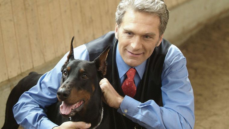 Der beste Freund des Mannes