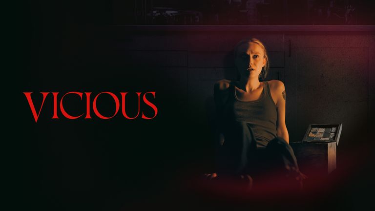 Vicious - Ein teuflisches Geschenk