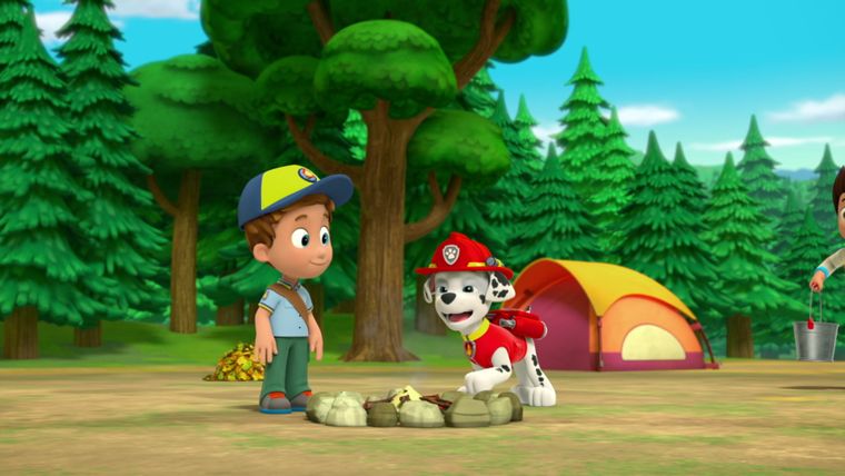 Das Pfadfinder-Abenteuer / Die Überraschung