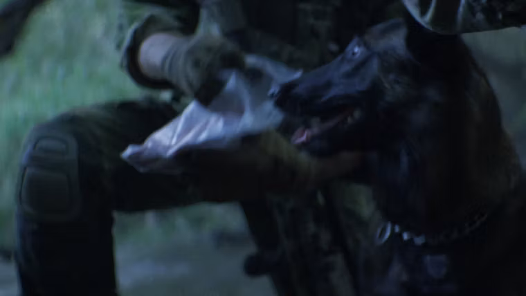 episode 7