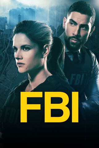 FBI: Special Crime Unit