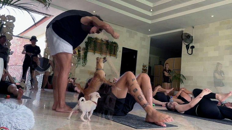 Puppy Yoga & Mental Health