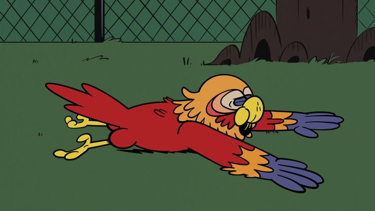 Die Tauben-Party / Schlaflos in Royal Woods