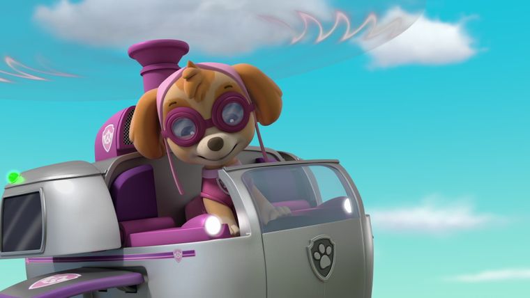 Die bellenden Kätzchen / Die Brille