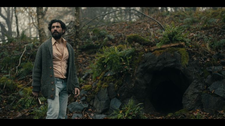 Den Wald vor Lauter Bäumen Nicht