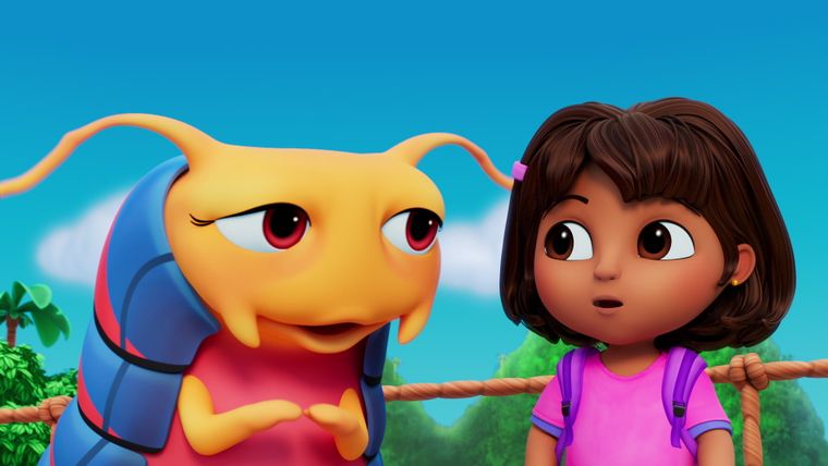 Das Regenwald-Wett-Rennen