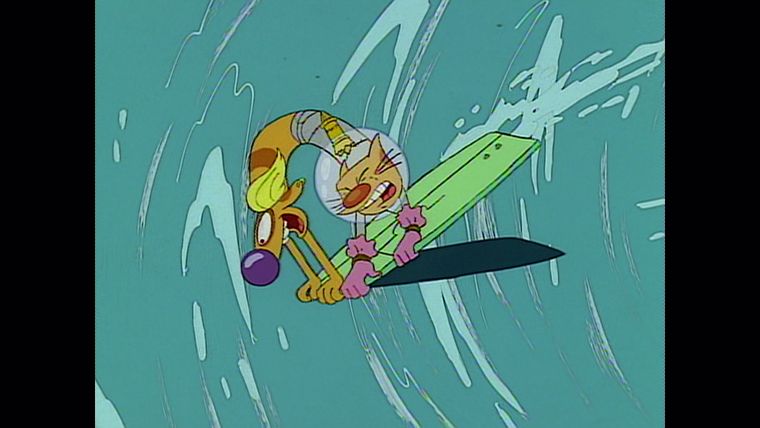 Surfer wider Willen / Cats Urinstinkte