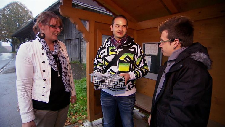 Staffel 08 - Folge 19