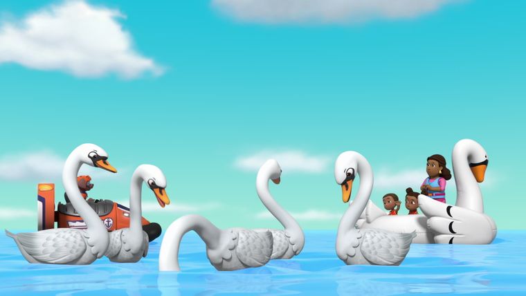 Das Schwanenfloss / Das Haustierwaschmittel