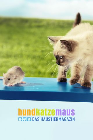 hundkatzemaus