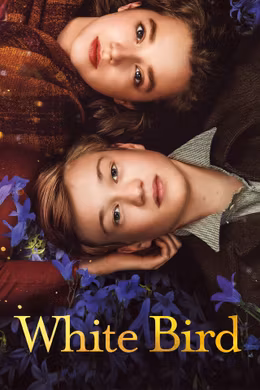 White Bird
