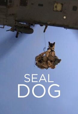 SEAL Dog
