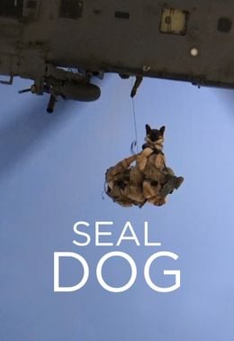 SEAL Dog