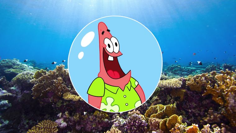 Die Sitcom / Die Show muss weitergähnen