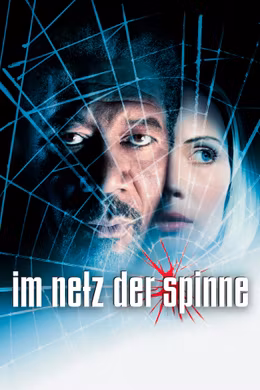 Im Netz der Spinne
