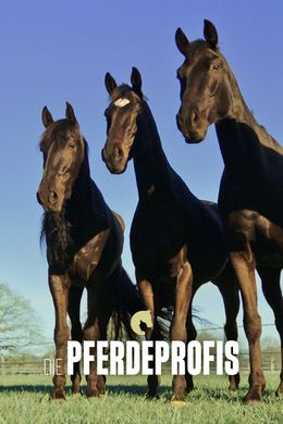 Die Pferdeprofis
