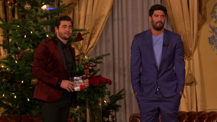 Staffel 10 - Folge 10: Nach der letzten Rose