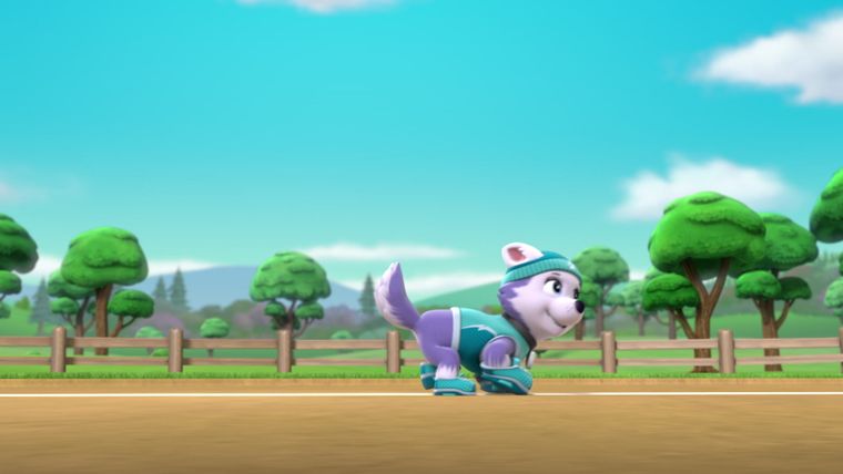 Atemberaubende Athleten / Der Tag des Sports