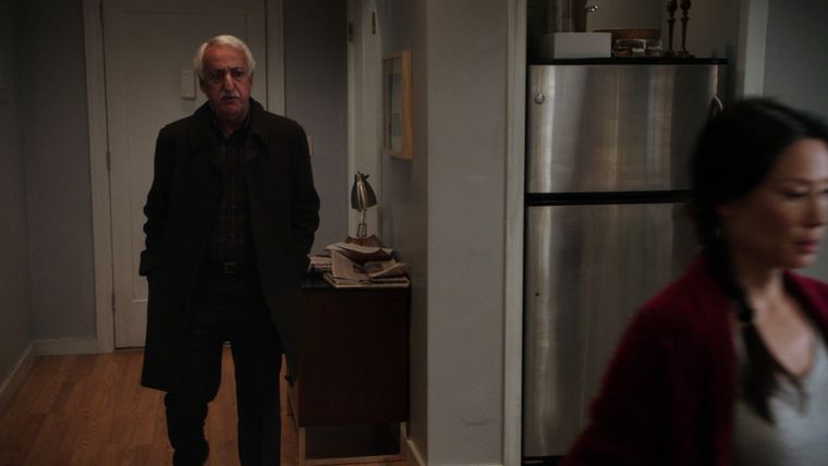 Die Zebra-Entführung