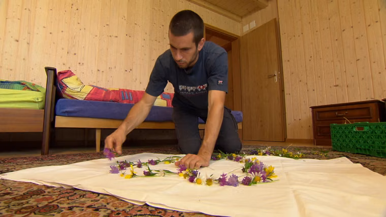 Staffel 13 - Folge 08