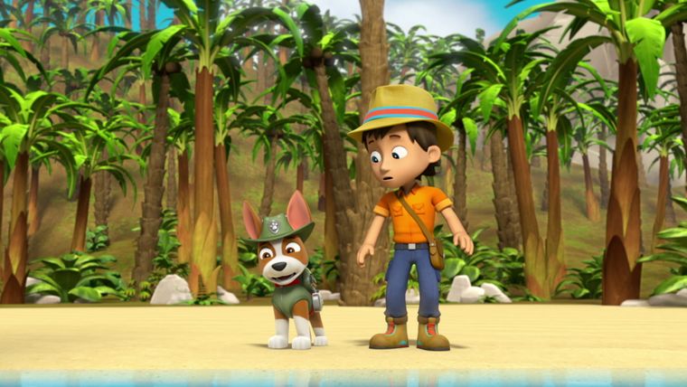 Einsatz auf dem Meer: Piraten-Welpen eilen zur Hilfe