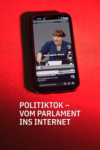 PoliTikTok - Vom Parlament ins Internet