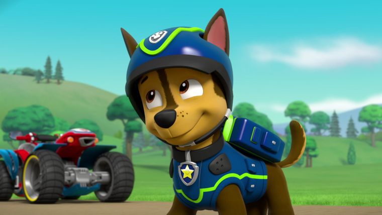 Das besondere Geschenk / Der Affen-naut