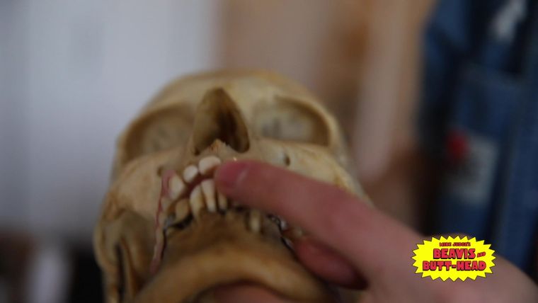 Der herabschauende Blödmann / Service verweigert