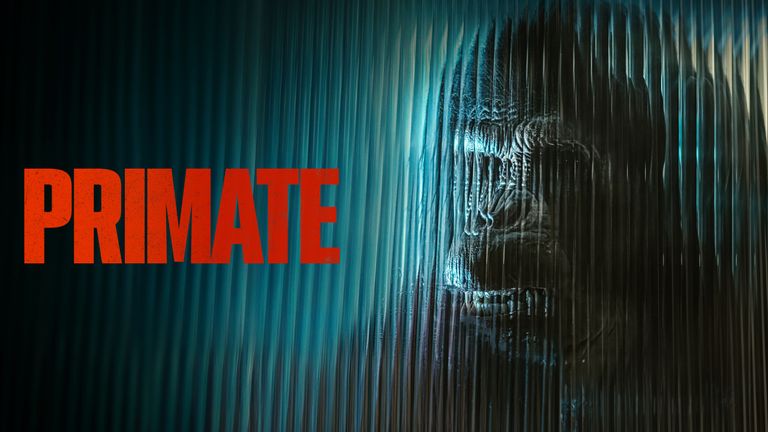 Primate