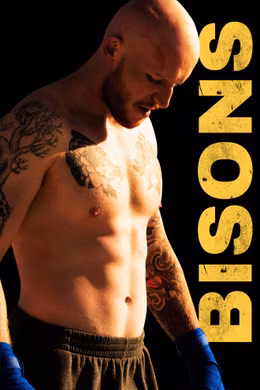 Bisons