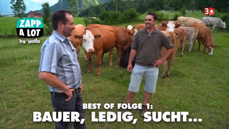 Best of Folge 1: Bauer, ledig, sucht...