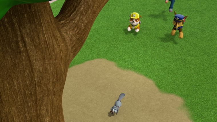 Welpen retten Eichhörnchen / Welpen retten Känguru