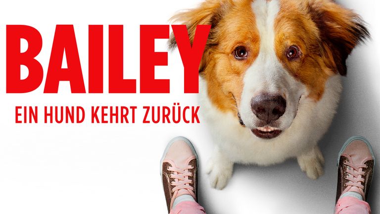 Bailey - Ein Hund kehrt zurück