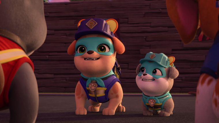 Die Crew baut eine mega Kinoleinwand / Die Crew baut ein Bild für Tante Crane