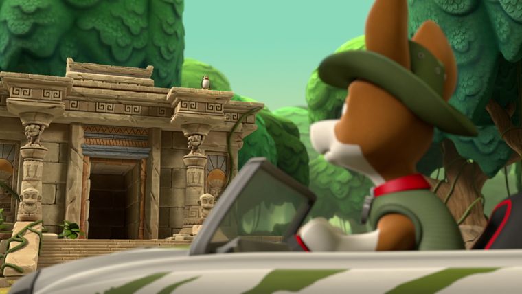 Die Welpen und die Dschungel-Pinguine / Die Welpen retten einen Frachter