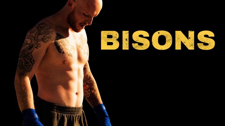 Bisons