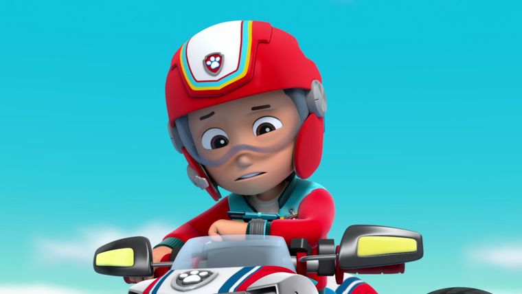 Einsatz auf dem Meer: Die Welpen retten einen Hai / Einsatz auf dem Meer: Welpen sichern den Steg