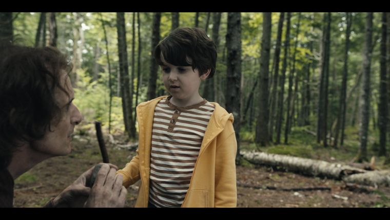 Ein Stein und ein Zauberbaum