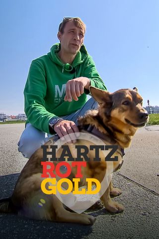 Hartz Rot Gold