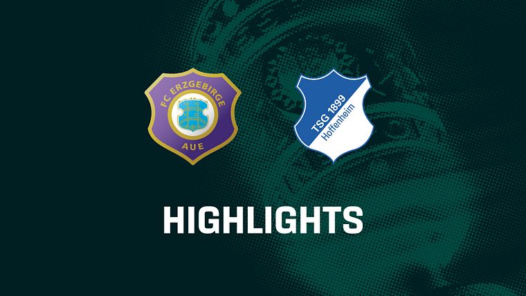 Erzgebirge Aue - TSG Hoffenheim