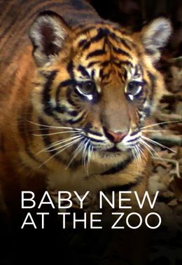 Familienzuwachs im Zoo