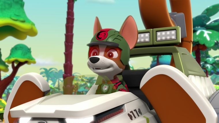 Die Dschungel-Helfer retten Piraten / Die Dschungel-Helfer retten das Lila-Nili-Pferd