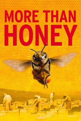 More Than Honey
