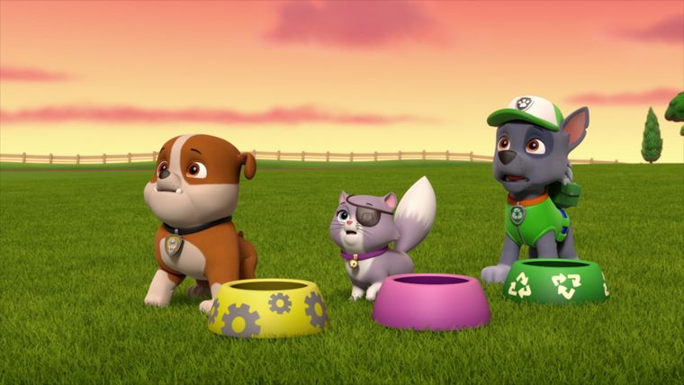 Die grosse Rettungsaktion