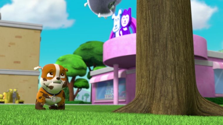 Welpen retten die davongelaufenen Kätzchen / Welpen retten den kleinen Marshall