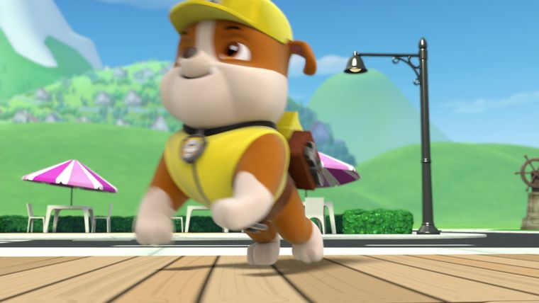 Die Rettung der Meeresschildkröten / Das Riesenbaby