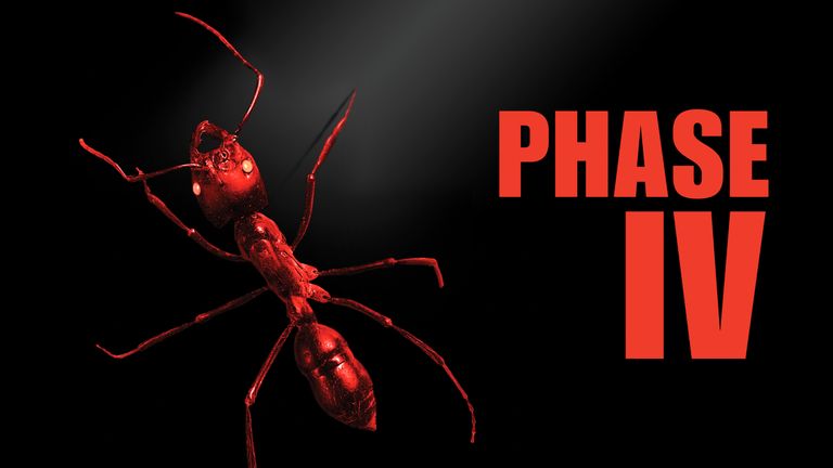 Phase IV