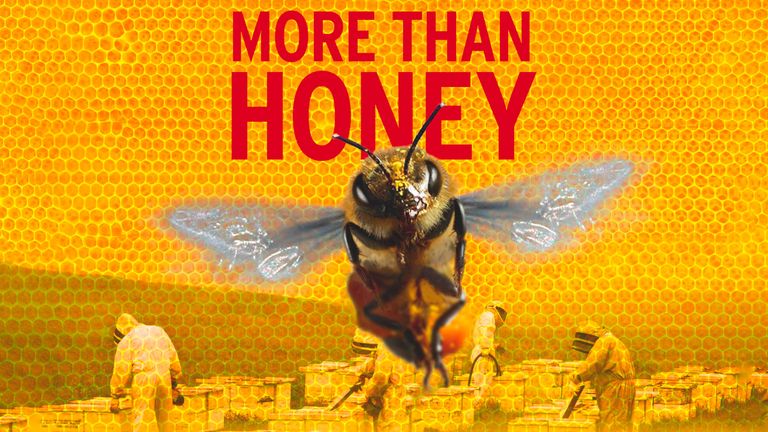 More Than Honey