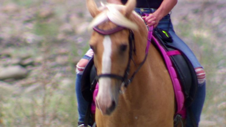Belastungsgrenze