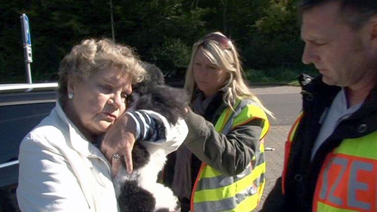 Rasante Pudelzüchterin legt sich mit der Polizei an